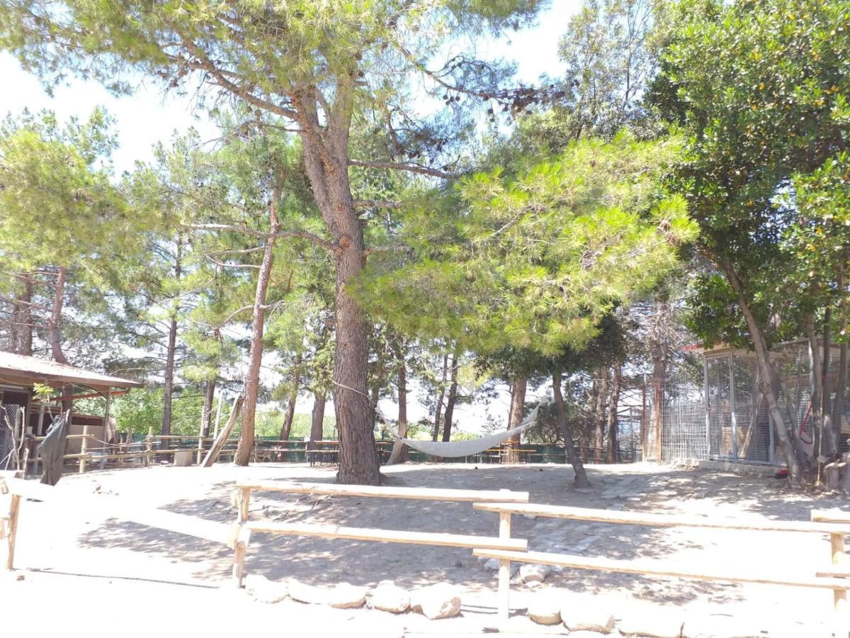 Montecarotto Fattoria Country Village מראה חיצוני תמונה