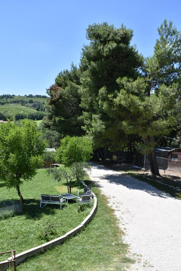 Montecarotto Fattoria Country Village מראה חיצוני תמונה