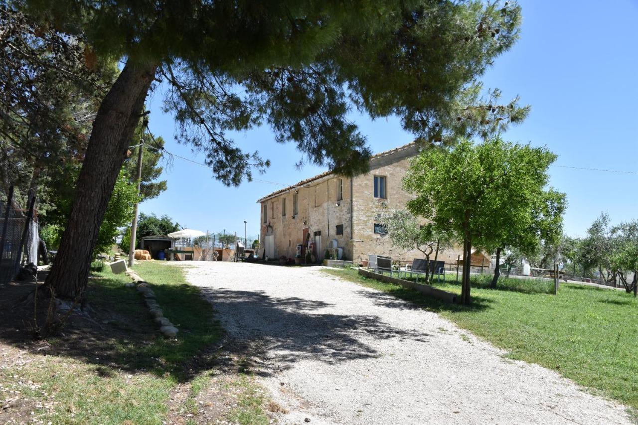 Montecarotto Fattoria Country Village מראה חיצוני תמונה